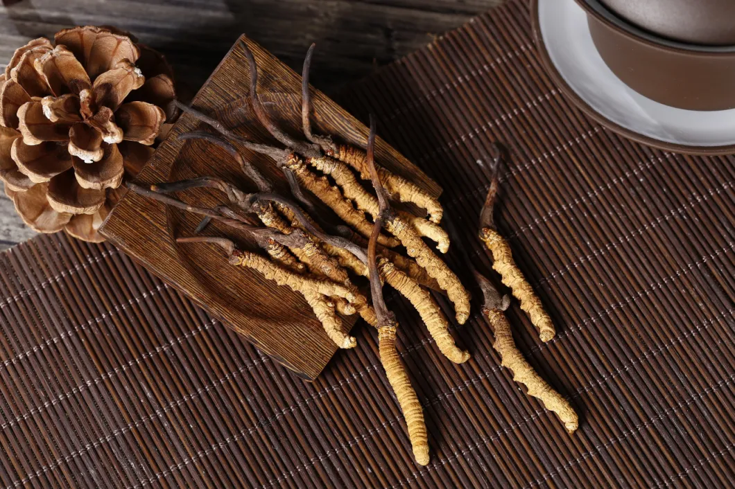 ISO Factory Supply Organic Polysaccharide Cordyceps Sinensis Militaris Extract Powder Cordyceps Militaris Extract